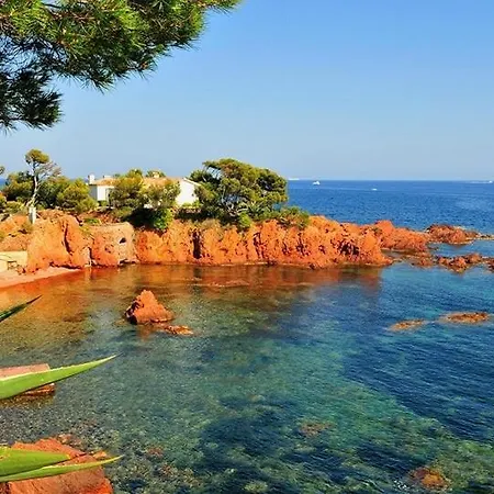 Cosy - Vue - Grande Piscine - Au Calme * Roquebrune-sur Argens